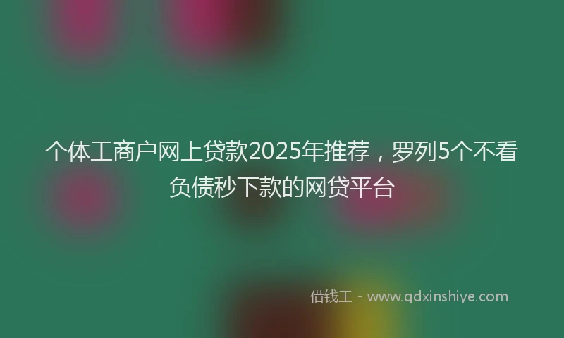 个体工商户网上贷款2025年推荐，罗列5个不看负债秒下款的网贷平台