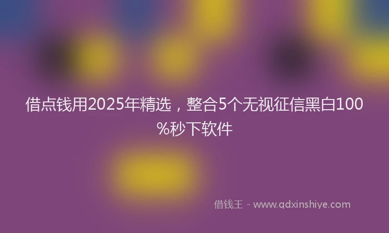 借点钱用2025年精选，整合5个无视征信黑白100%秒下软件