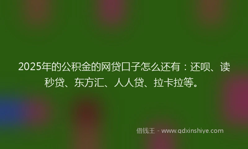 2025年的公积金的网贷口子怎么还有：还呗、读秒贷、东方汇、人人贷、拉卡拉等。