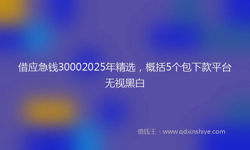 借应急钱30002025年精选，概括5个包下款平台无视黑白