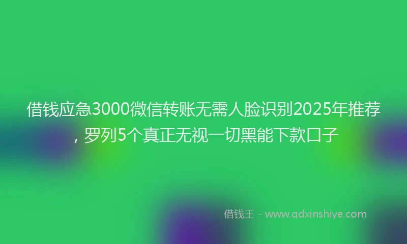 借钱应急3000微信转账无需人脸识别2025年推荐，罗列5个真正无视一切黑能下款口子