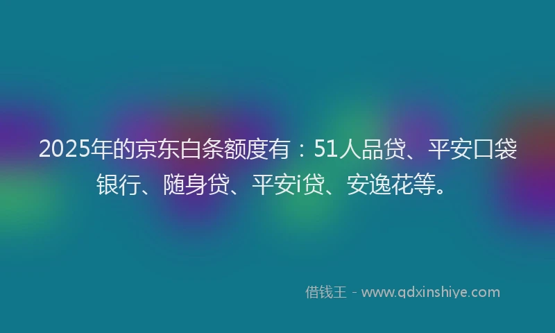 2025年的京东白条额度有：51人品贷、平安口袋银行、随身贷、平安i贷、安逸花等。