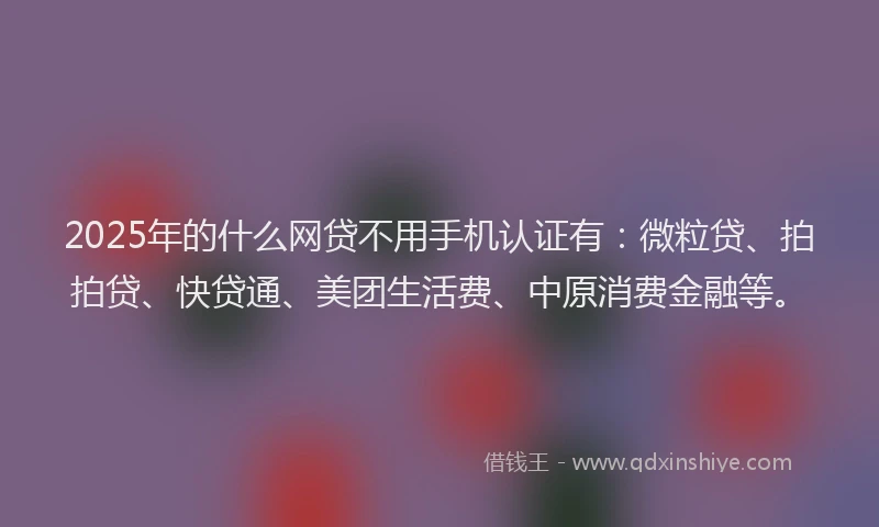 2025年的什么网贷不用手机认证有：微粒贷、拍拍贷、快贷通、美团生活费、中原消费金融等。