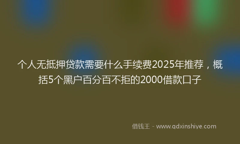个人无抵押贷款需要什么手续费2025年推荐，概括5个黑户百分百不拒的2000借款口子
