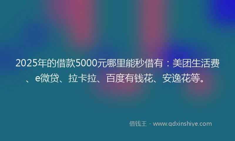 2025年的借款5000元哪里能秒借有：美团生活费、e微贷、拉卡拉、百度有钱花、安逸花等。
