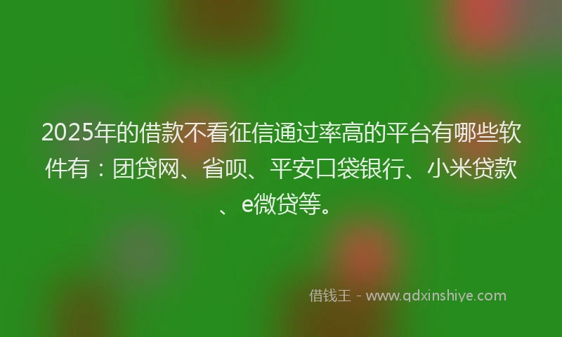 2025年的借款不看征信通过率高的平台有哪些软件有：团贷网、省呗、平安口袋银行、小米贷款、e微贷等。