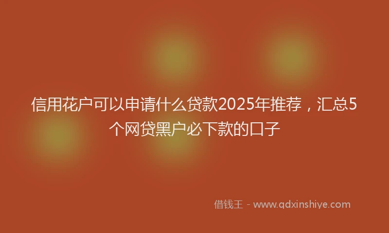 信用花户可以申请什么贷款2025年推荐，汇总5个网贷黑户必下款的口子