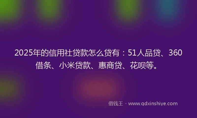 2025年的信用社贷款怎么贷有：51人品贷、360借条、小米贷款、惠商贷、花呗等。
