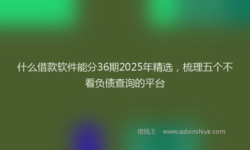 什么借款软件能分36期2025年精选，梳理五个不看负债查询的平台