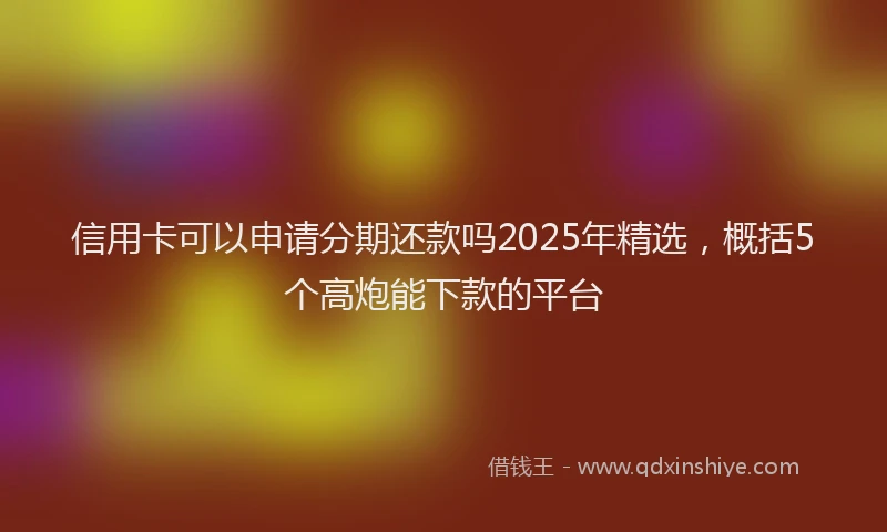 信用卡可以申请分期还款吗2025年精选，概括5个高炮能下款的平台