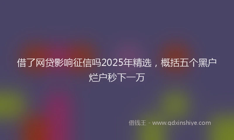 借了网贷影响征信吗2025年精选，概括五个黑户烂户秒下一万