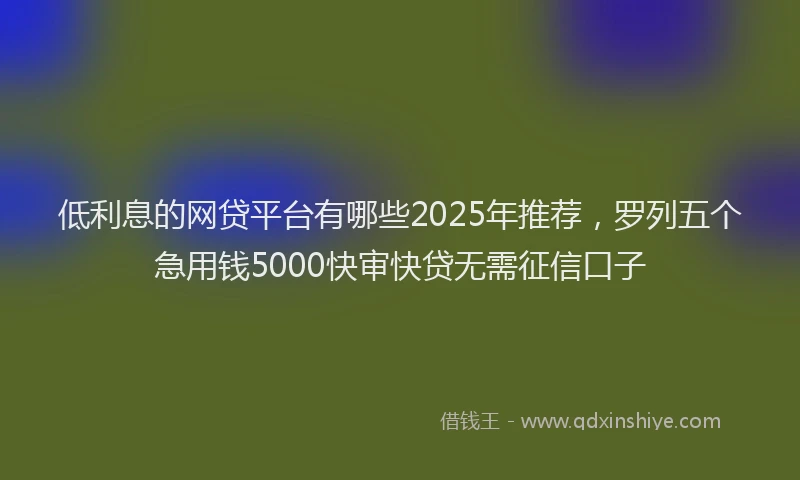 低利息的网贷平台有哪些2025年推荐，罗列五个急用钱5000快审快贷无需征信口子