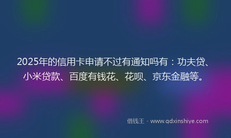 2025年的信用卡申请不过有通知吗有：功夫贷、小米贷款、百度有钱花、花呗、京东金融等。