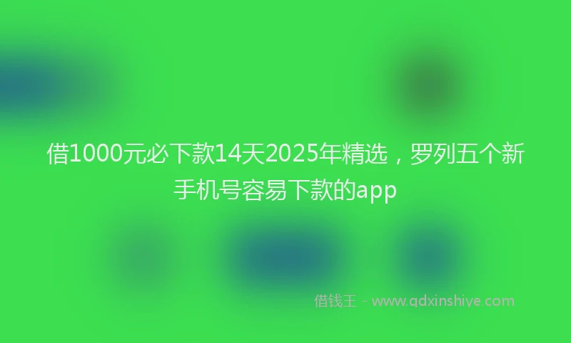 借1000元必下款14天2025年精选，罗列五个新手机号容易下款的app