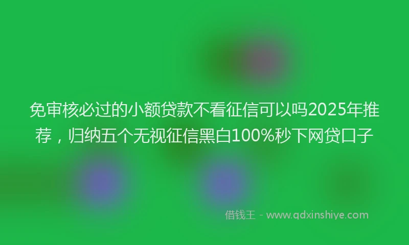 免审核必过的小额贷款不看征信可以吗2025年推荐，归纳五个无视征信黑白100%秒下网贷口子