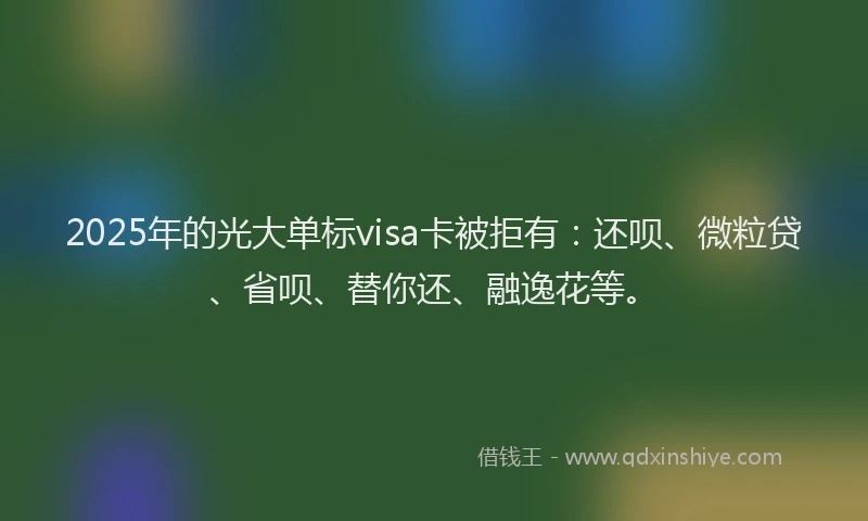 2025年的光大单标visa卡被拒有：还呗、微粒贷、省呗、替你还、融逸花等。