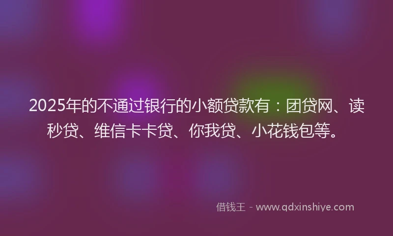 2025年的不通过银行的小额贷款有：团贷网、读秒贷、维信卡卡贷、你我贷、小花钱包等。