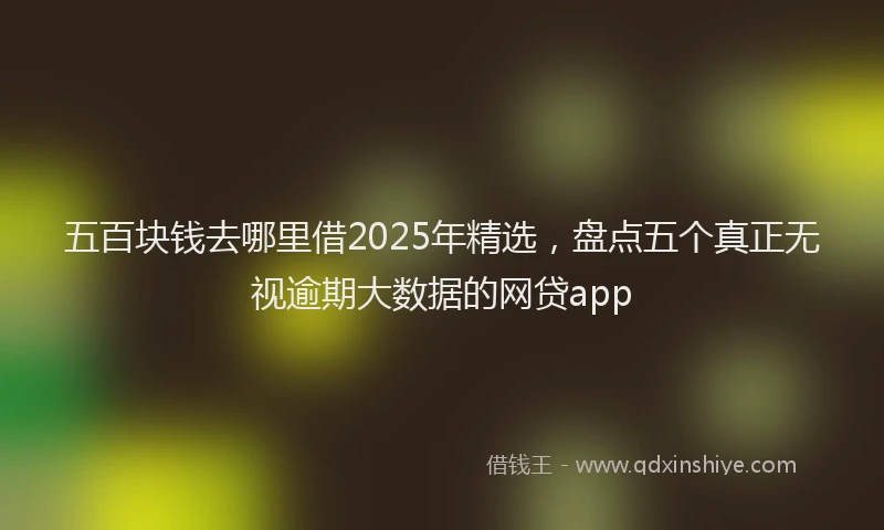 五百块钱去哪里借2025年精选，盘点五个真正无视逾期大数据的网贷app