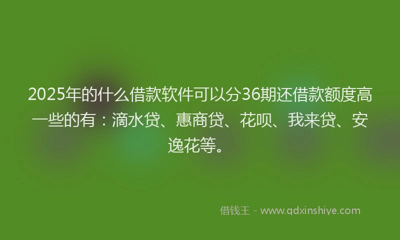 2025年的什么借款软件可以分36期还借款额度高一些的有：滴水贷、惠商贷、花呗、我来贷、安逸花等。