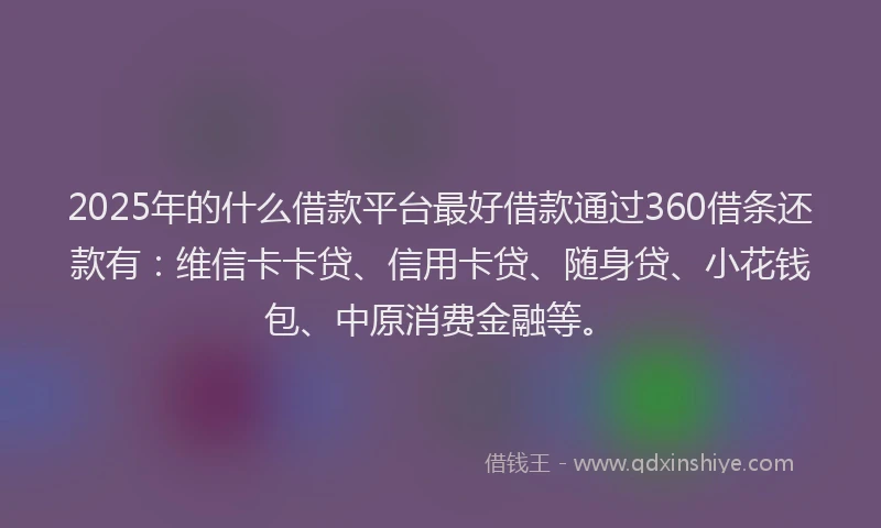 2025年的什么借款平台最好借款通过360借条还款有：维信卡卡贷、信用卡贷、随身贷、小花钱包、中原消费金融等。
