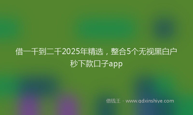 借一千到二千2025年精选，整合5个无视黑白户秒下款口子app
