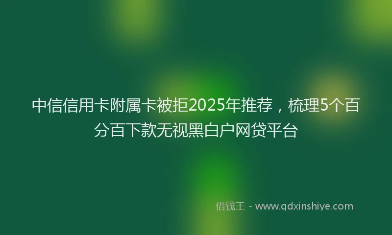 中信信用卡附属卡被拒2025年推荐，梳理5个百分百下款无视黑白户网贷平台