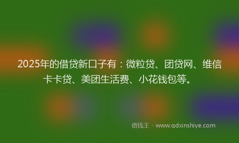 2025年的借贷新口子有：微粒贷、团贷网、维信卡卡贷、美团生活费、小花钱包等。