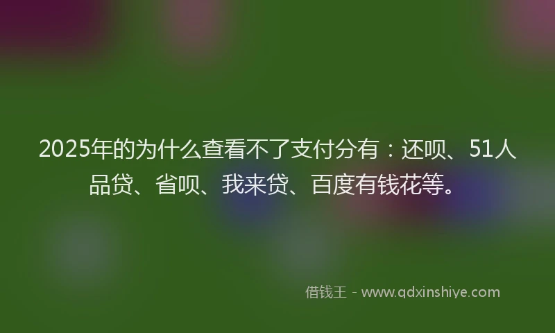 2025年的为什么查看不了支付分有：还呗、51人品贷、省呗、我来贷、百度有钱花等。