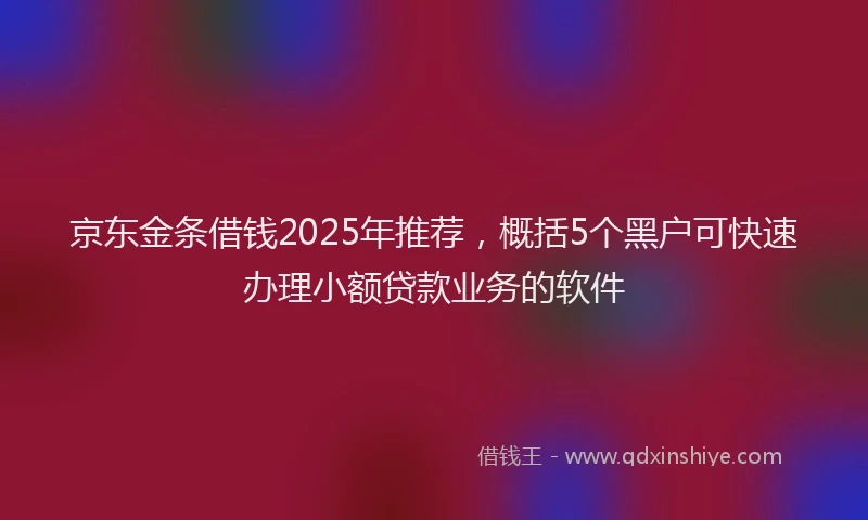 京东金条借钱2025年推荐，概括5个黑户可快速办理小额贷款业务的软件