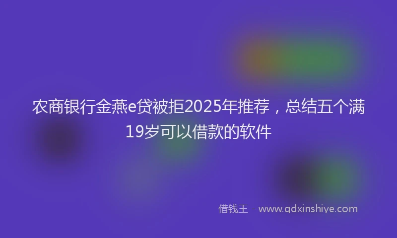 农商银行金燕e贷被拒2025年推荐，总结五个满19岁可以借款的软件