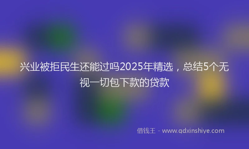 兴业被拒民生还能过吗2025年精选，总结5个无视一切包下款的贷款
