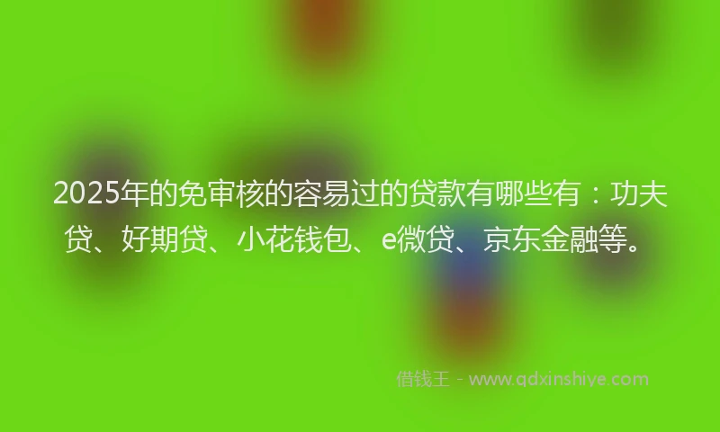 2025年的免审核的容易过的贷款有哪些有：功夫贷、好期贷、小花钱包、e微贷、京东金融等。