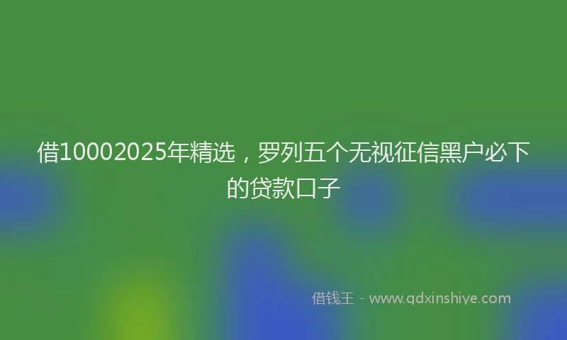 借10002025年精选，罗列五个无视征信黑户必下的贷款口子