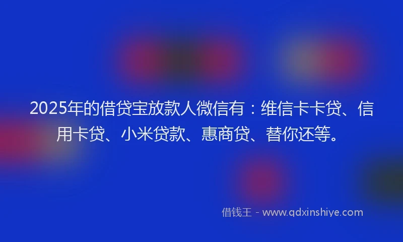 2025年的借贷宝放款人微信有：维信卡卡贷、信用卡贷、小米贷款、惠商贷、替你还等。