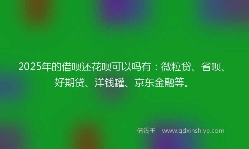 2025年的借呗还花呗可以吗有：微粒贷、省呗、好期贷、洋钱罐、京东金融等。
