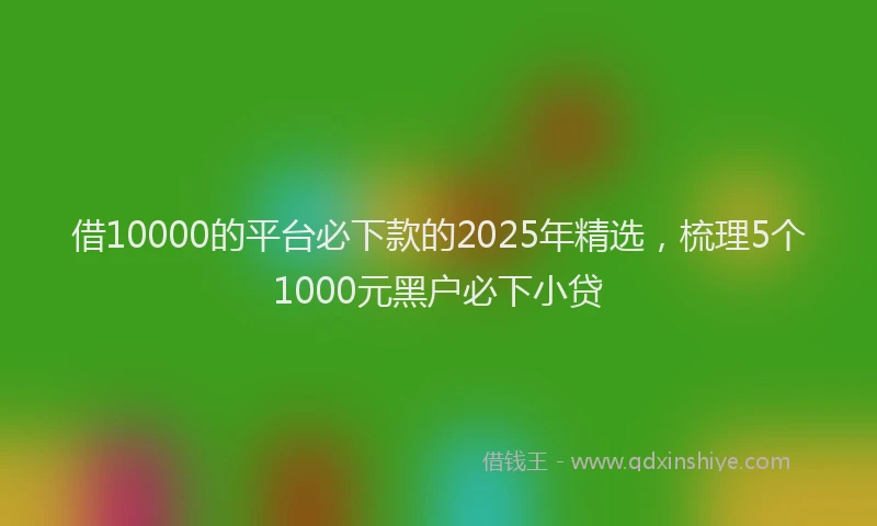 借10000的平台必下款的2025年精选，梳理5个1000元黑户必下小贷