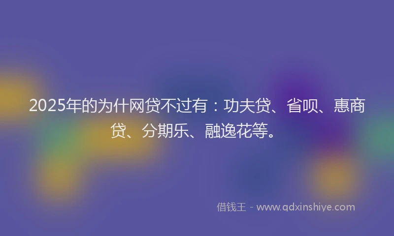2025年的为什网贷不过有：功夫贷、省呗、惠商贷、分期乐、融逸花等。