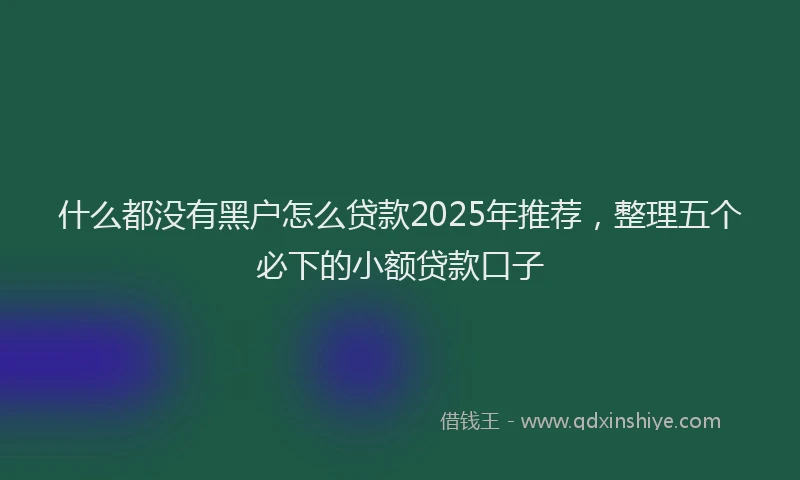 什么都没有黑户怎么贷款2025年推荐，整理五个必下的小额贷款口子
