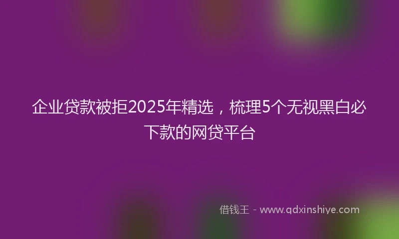 企业贷款被拒2025年精选，梳理5个无视黑白必下款的网贷平台