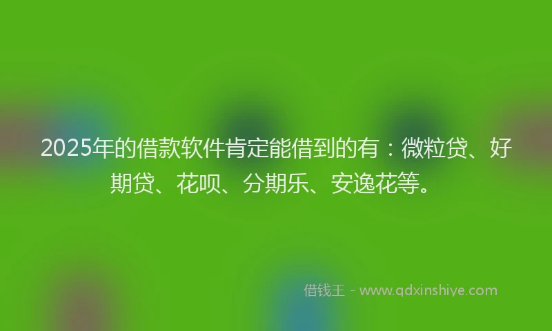 2025年的借款软件肯定能借到的有：微粒贷、好期贷、花呗、分期乐、安逸花等。