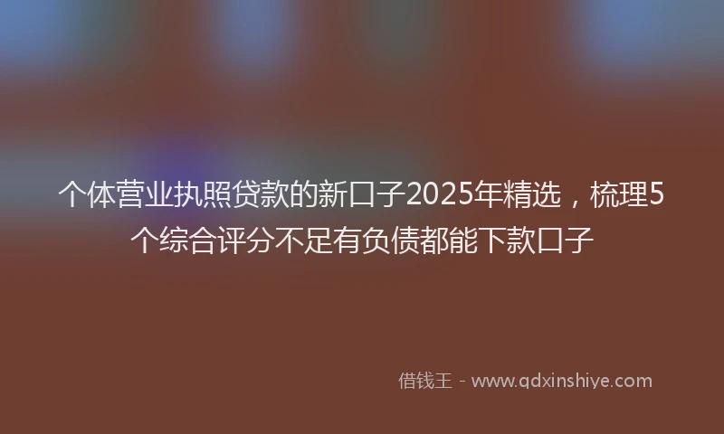 个体营业执照贷款的新口子2025年精选，梳理5个综合评分不足有负债都能下款口子