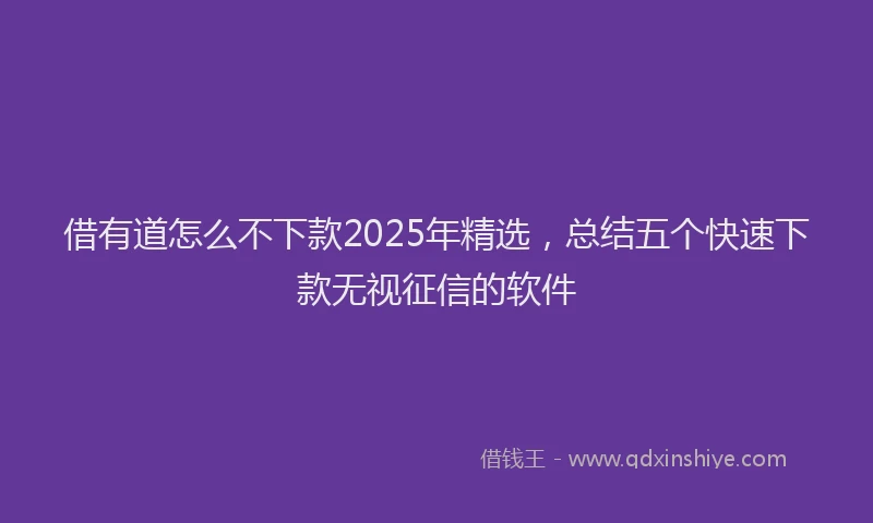 借有道怎么不下款2025年精选，总结五个快速下款无视征信的软件