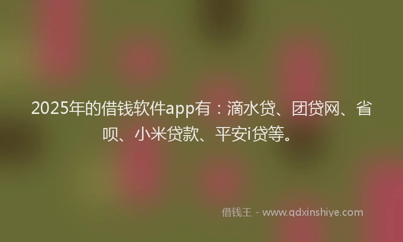 2025年的借钱软件app有：滴水贷、团贷网、省呗、小米贷款、平安i贷等。