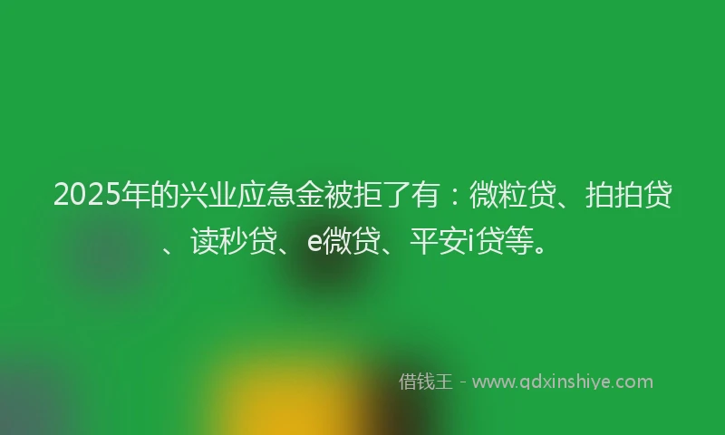 2025年的兴业应急金被拒了有：微粒贷、拍拍贷、读秒贷、e微贷、平安i贷等。