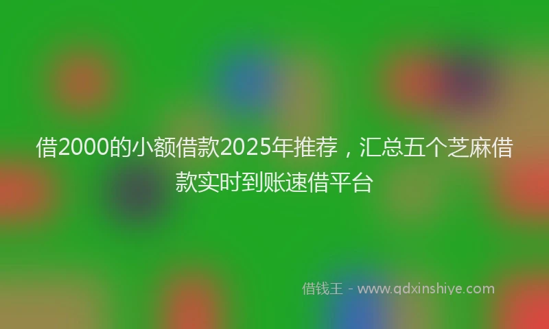 借2000的小额借款2025年推荐，汇总五个芝麻借款实时到账速借平台