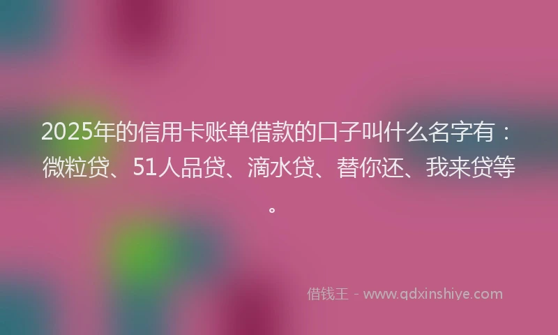 2025年的信用卡账单借款的口子叫什么名字有：微粒贷、51人品贷、滴水贷、替你还、我来贷等。