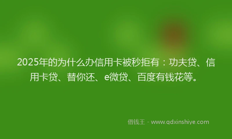 2025年的为什么办信用卡被秒拒有：功夫贷、信用卡贷、替你还、e微贷、百度有钱花等。