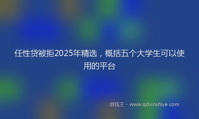 任性贷被拒2025年精选，概括五个大学生可以使用的平台