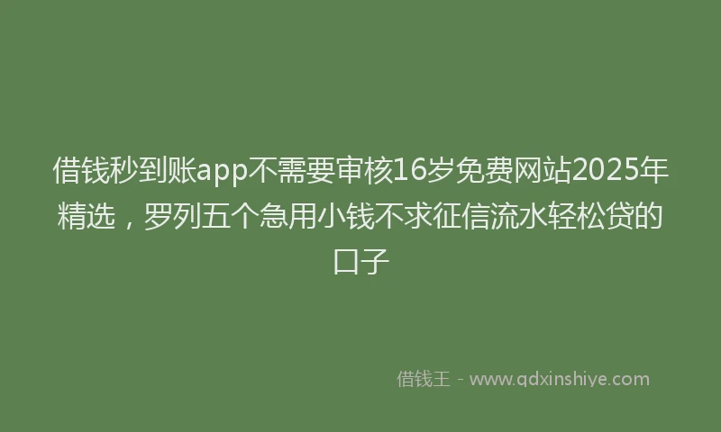 借钱秒到账app不需要审核16岁免费网站2025年精选，罗列五个急用小钱不求征信流水轻松贷的口子