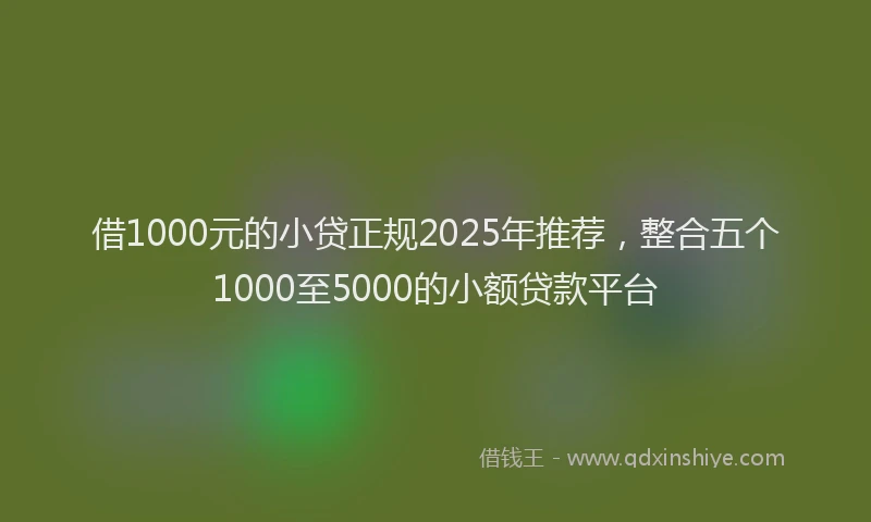 借1000元的小贷正规2025年推荐，整合五个1000至5000的小额贷款平台